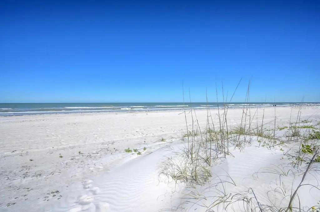 3100 Gulf Boulevard Belleair Beach FL 33786
