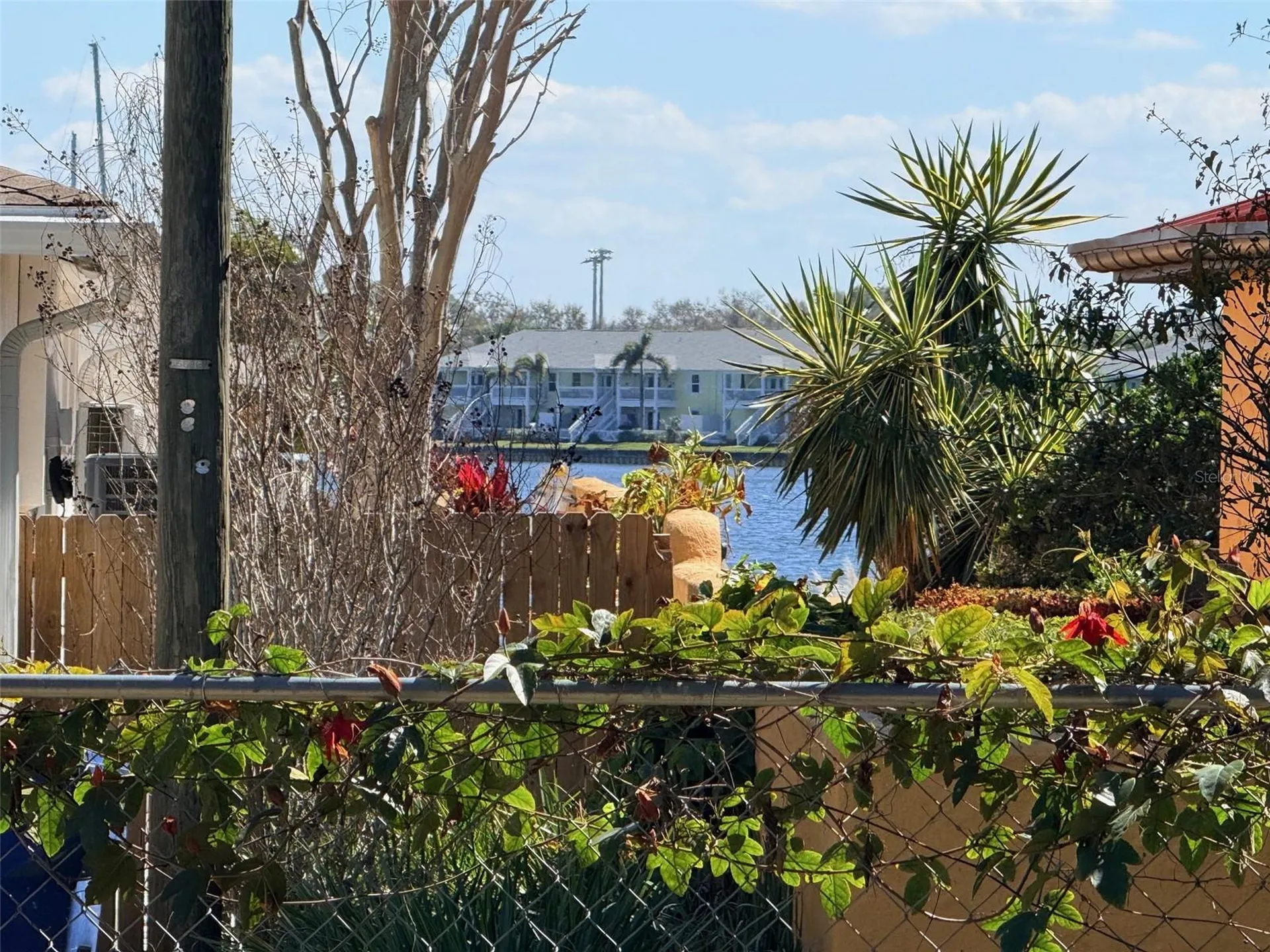 Ling-a-mor Terrace S St Petersburg FL 33705