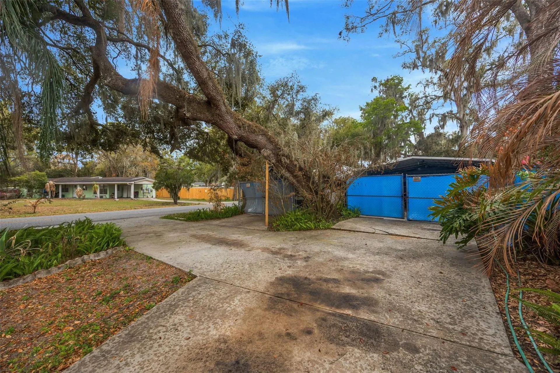 1201 N Palm Drive Plant City FL 33563