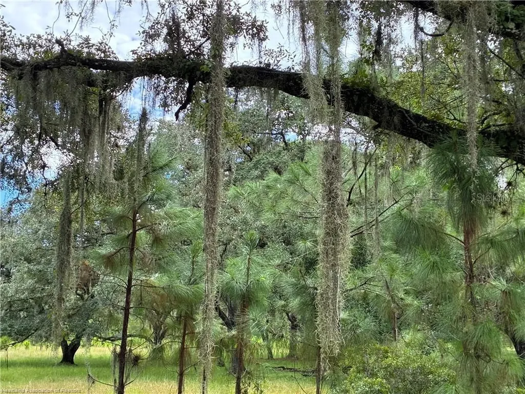 Detjens Dairy Road Venus FL 33960