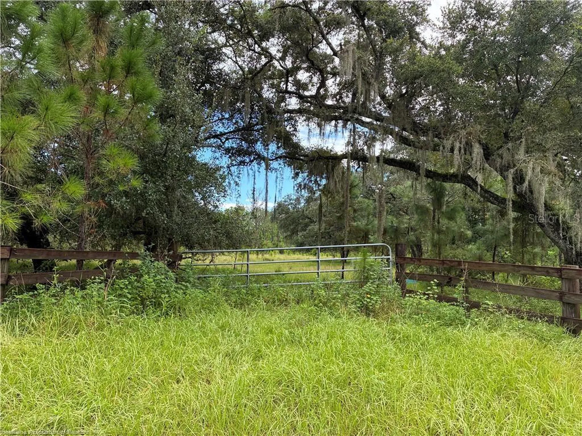 Detjens Dairy Road Venus FL 33960