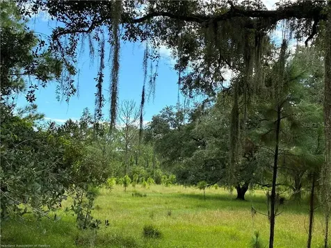 Detjens Dairy Road Venus FL 33960