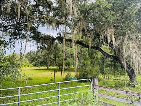 Detjens Dairy Road Venus FL 33960