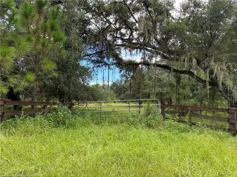 Detjens Dairy Road Venus FL 33960