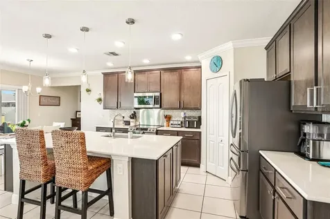 11218 June Briar Loop San Antonio FL 33576
