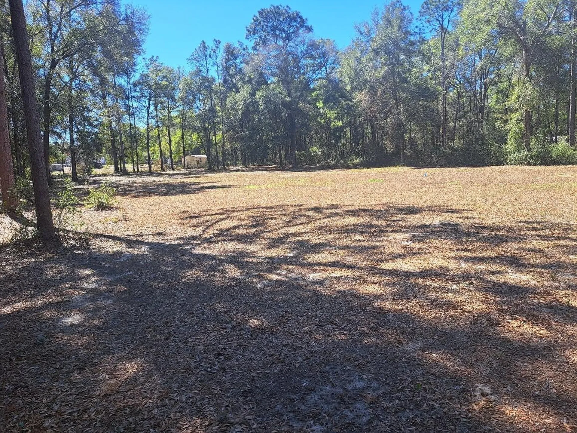 00 SW 55th Street Ocala FL 34481