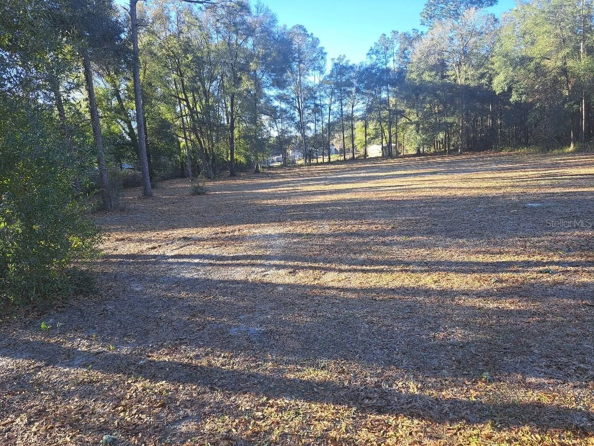 00 SW 55th Street Ocala FL 34481