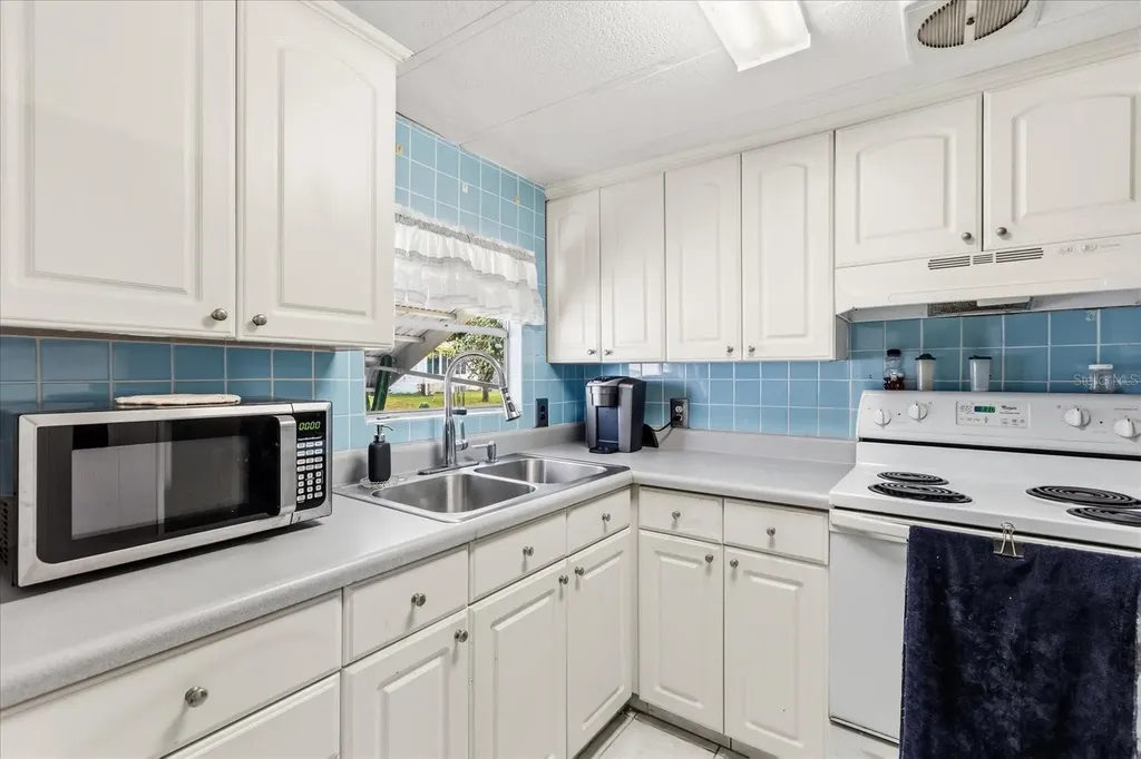 1960 Pinewood Lane Mount Dora FL 32757