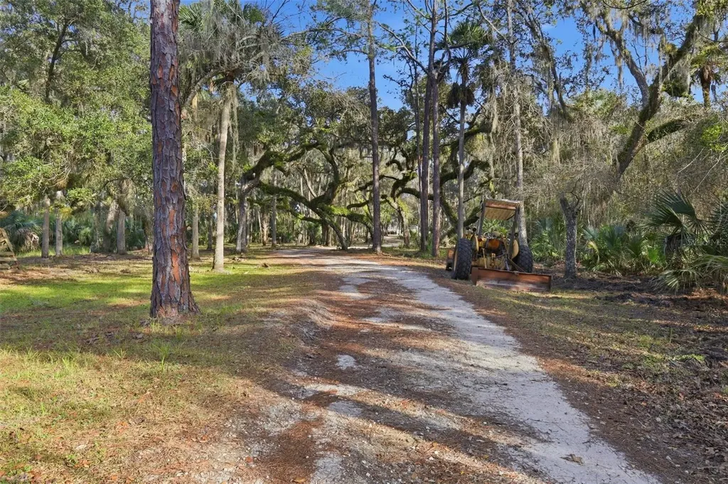 539 Tabatha Drive Osteen FL 32764