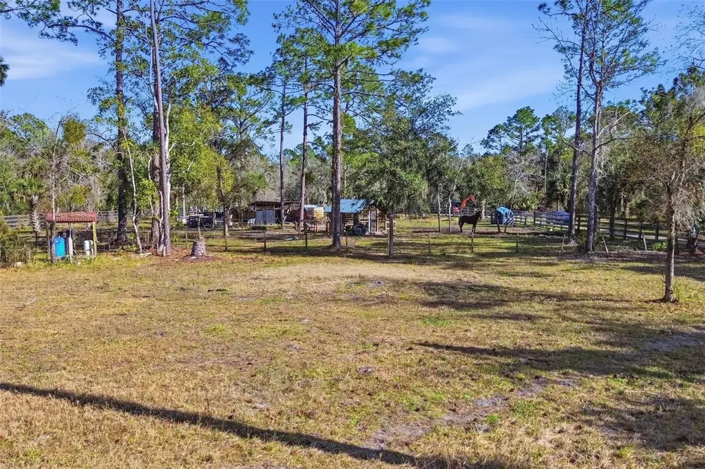 539 Tabatha Drive Osteen FL 32764