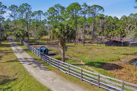 539 Tabatha Drive Osteen FL 32764
