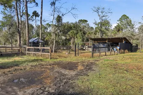 539 Tabatha Drive Osteen FL 32764