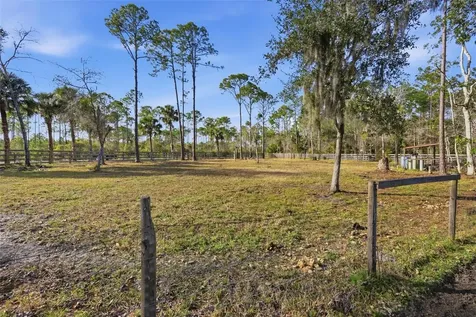 539 Tabatha Drive Osteen FL 32764