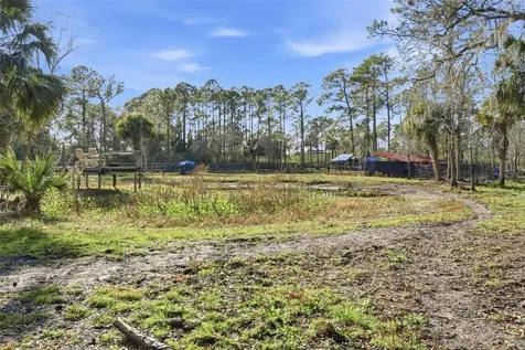 539 Tabatha Drive Osteen FL 32764
