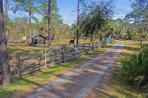 539 Tabatha Drive Osteen FL 32764