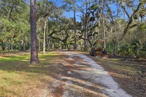539 Tabatha Drive Osteen FL 32764