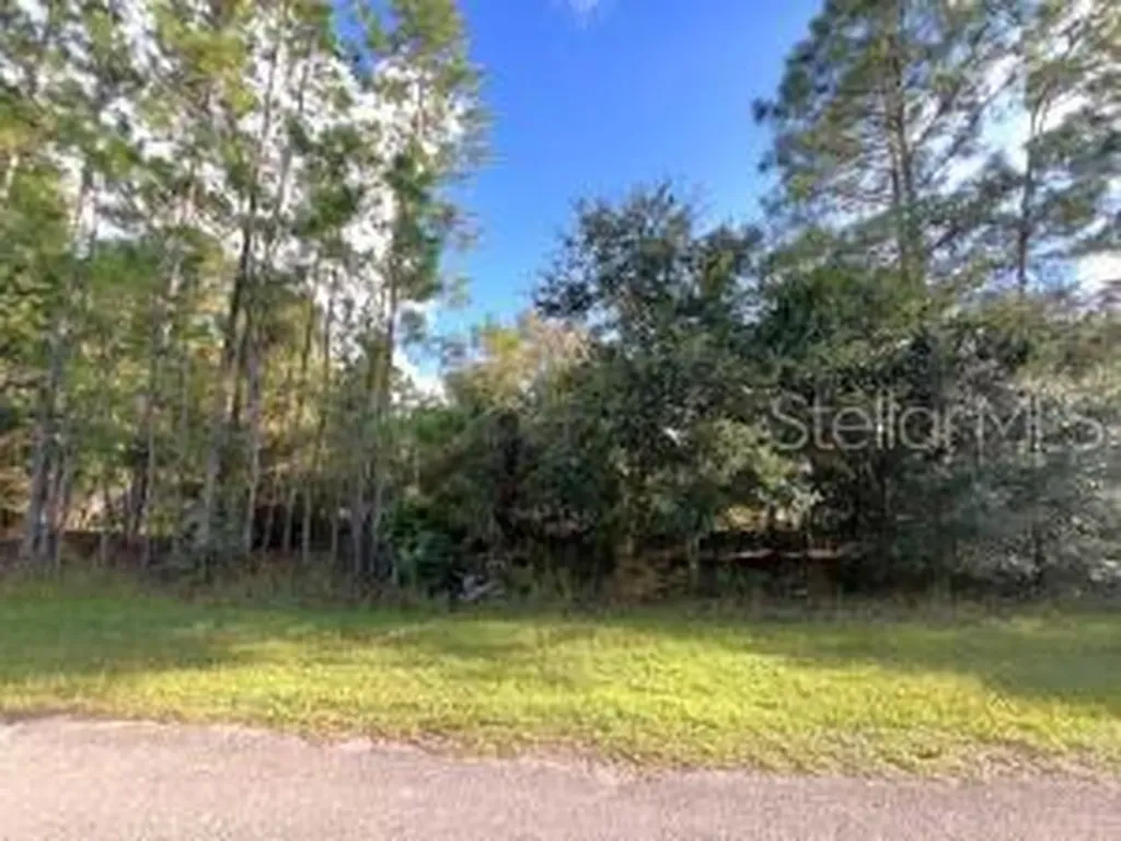 405 Pandora Drive Indian Lake Estates FL 33855
