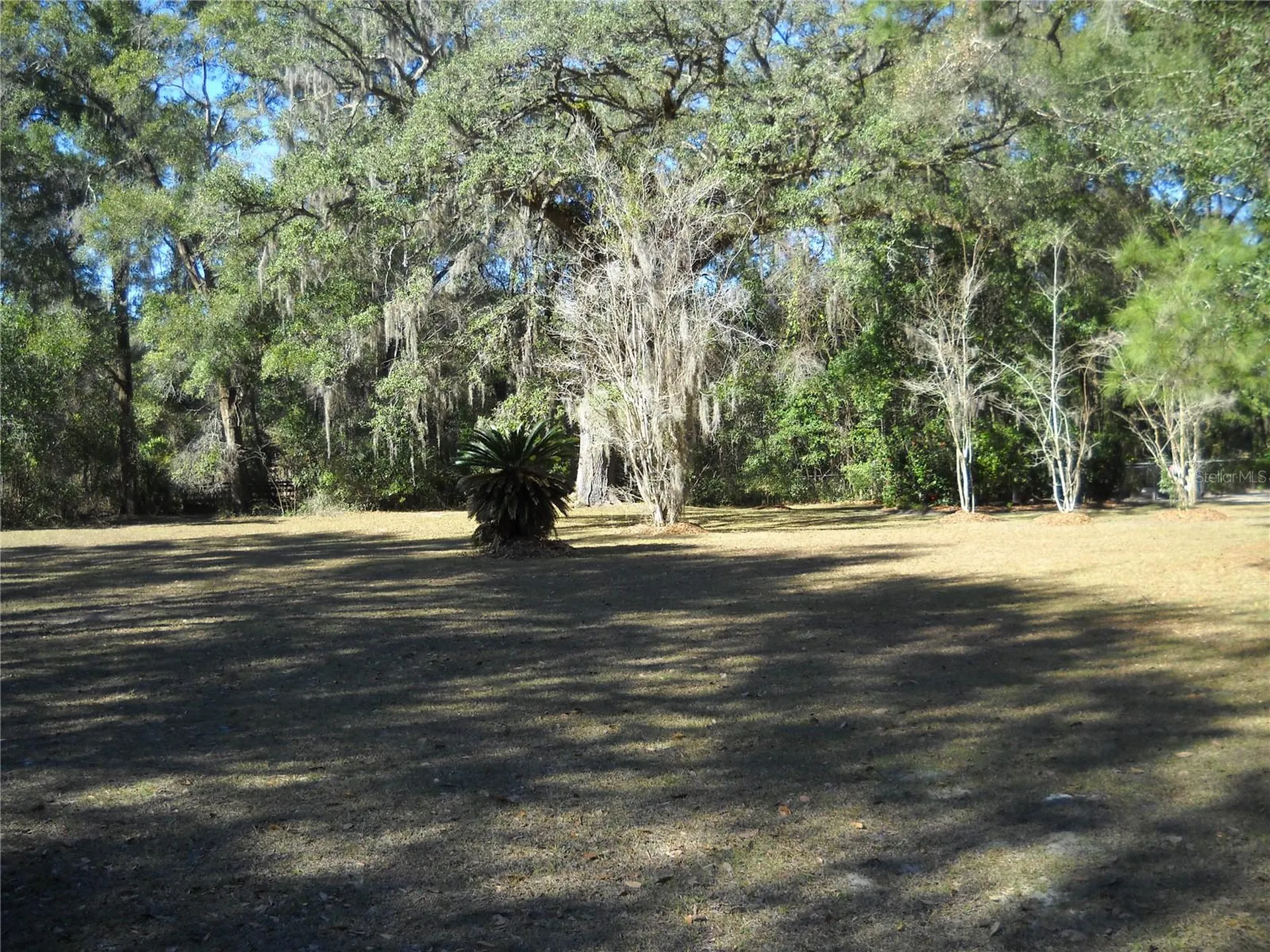 4881 NW 69th Street Ocala FL 34482