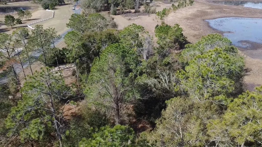 Bonsmara Drive Leesburg FL 34748