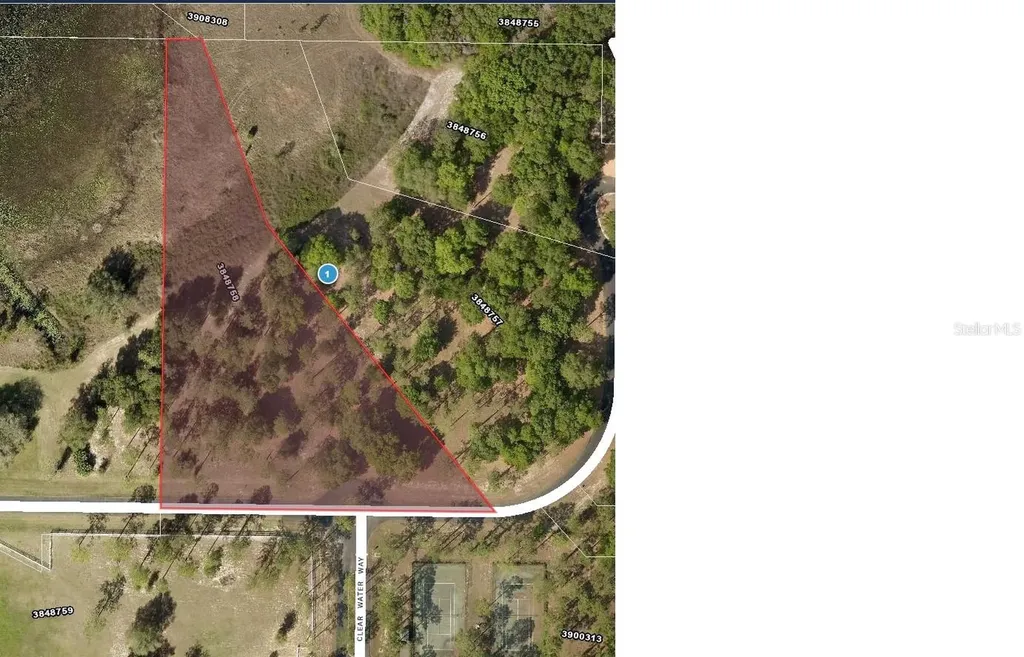 Bonsmara Drive Leesburg FL 34748