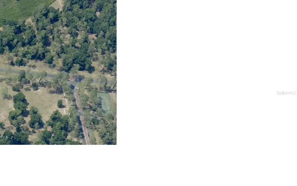 Bonsmara Drive Leesburg FL 34748