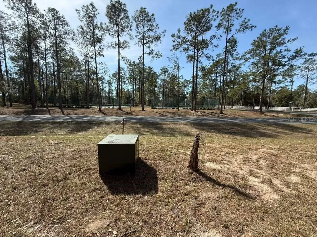 Bonsmara Drive Leesburg FL 34748