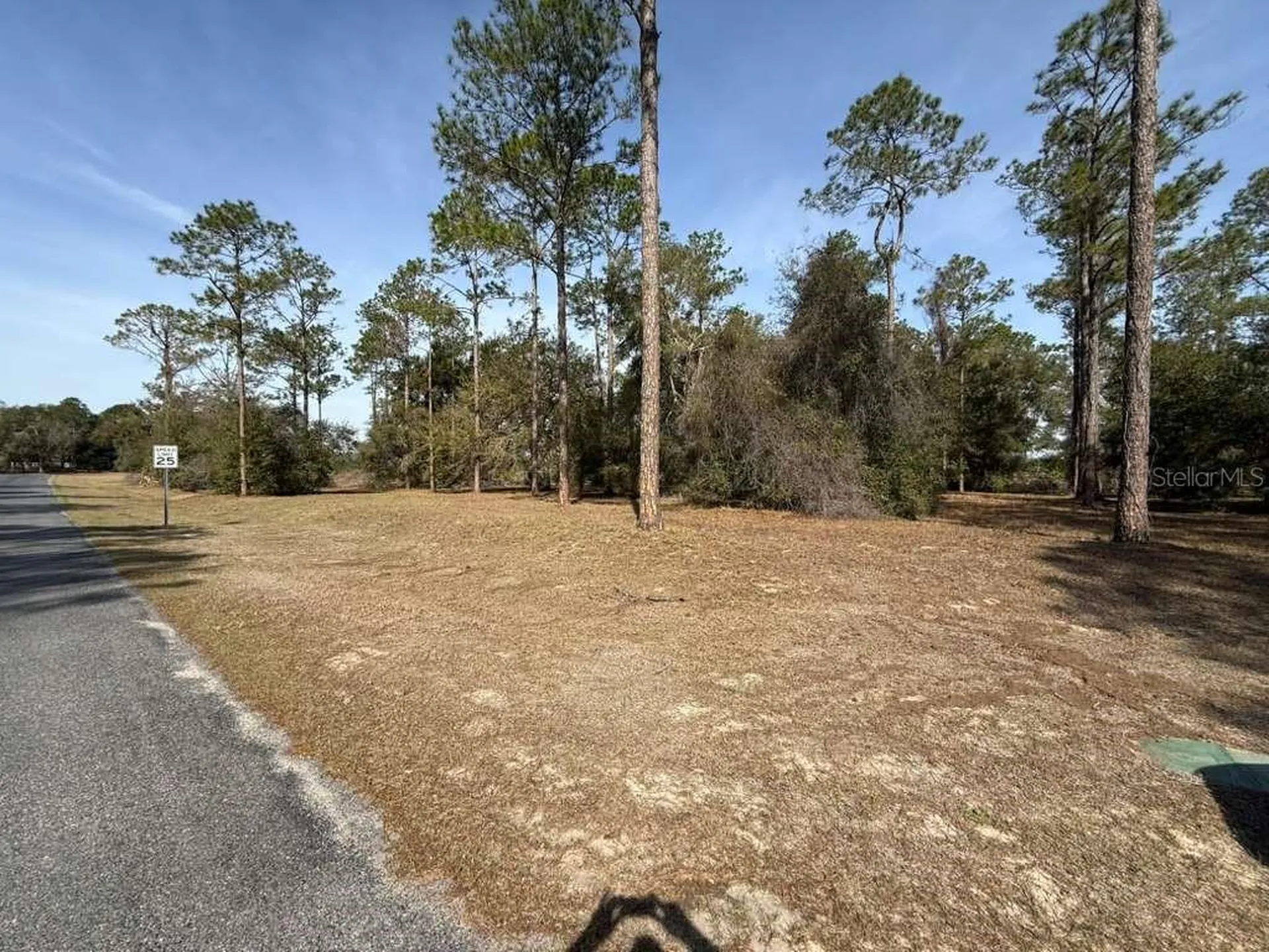 Bonsmara Drive Leesburg FL 34748