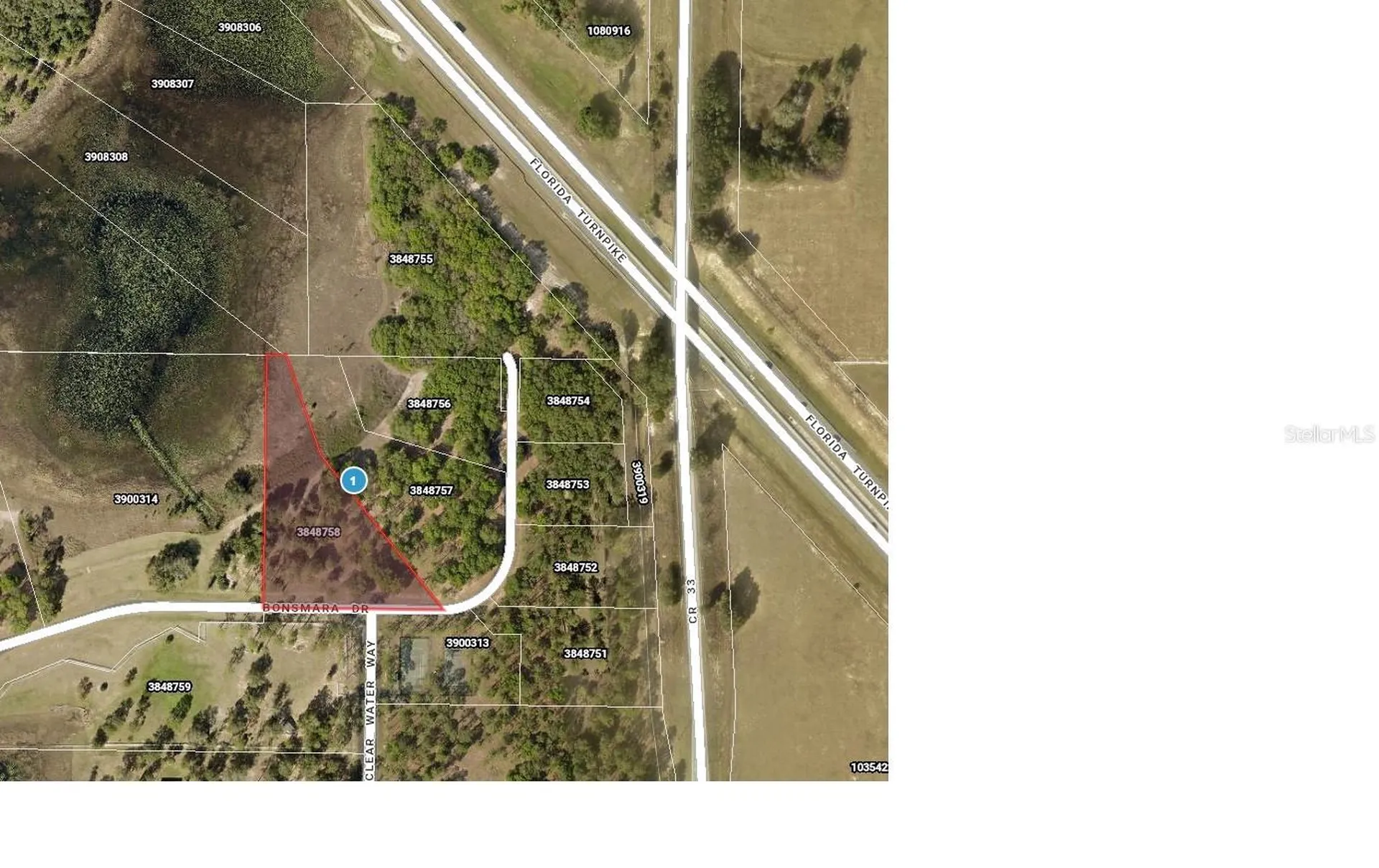 Bonsmara Drive Leesburg FL 34748