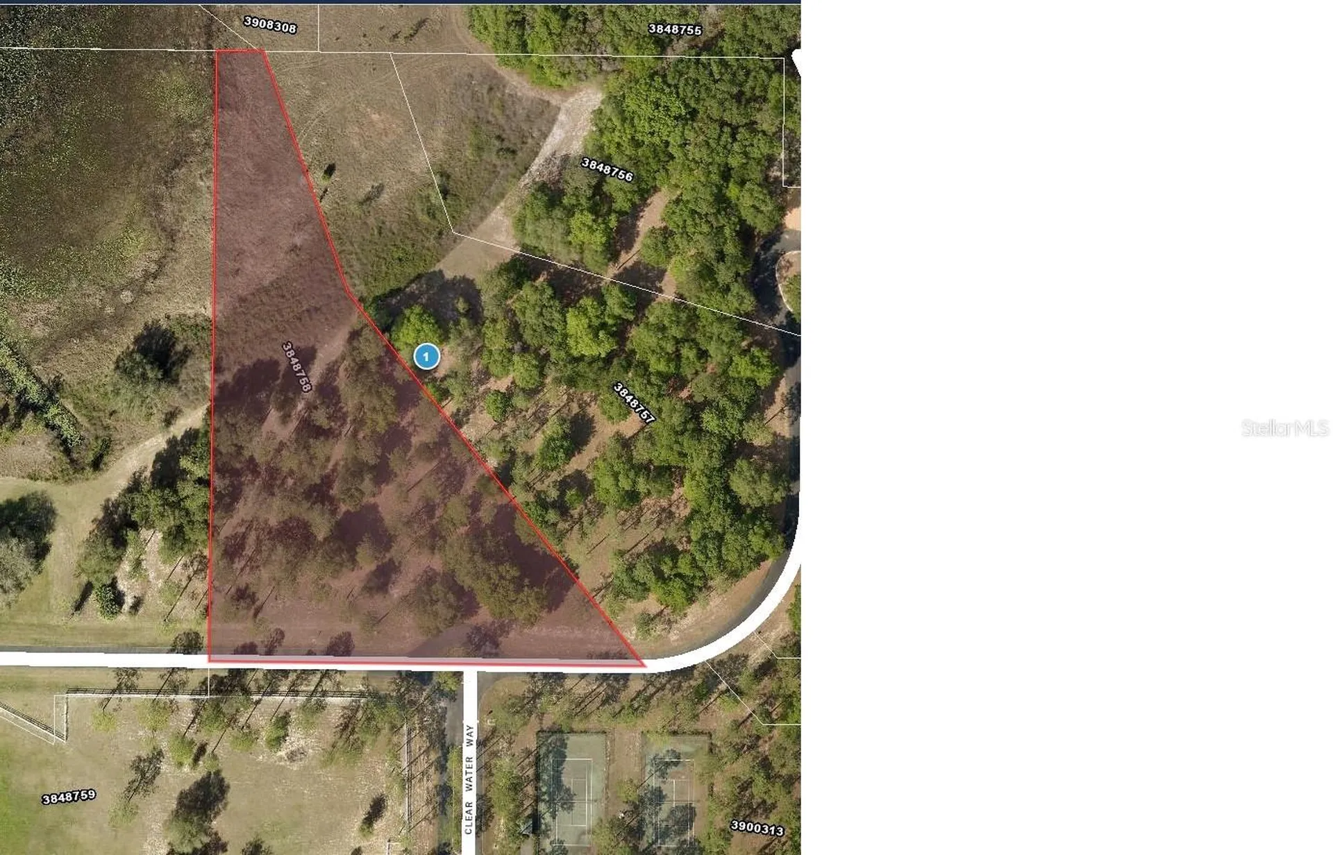 Bonsmara Drive Leesburg FL 34748