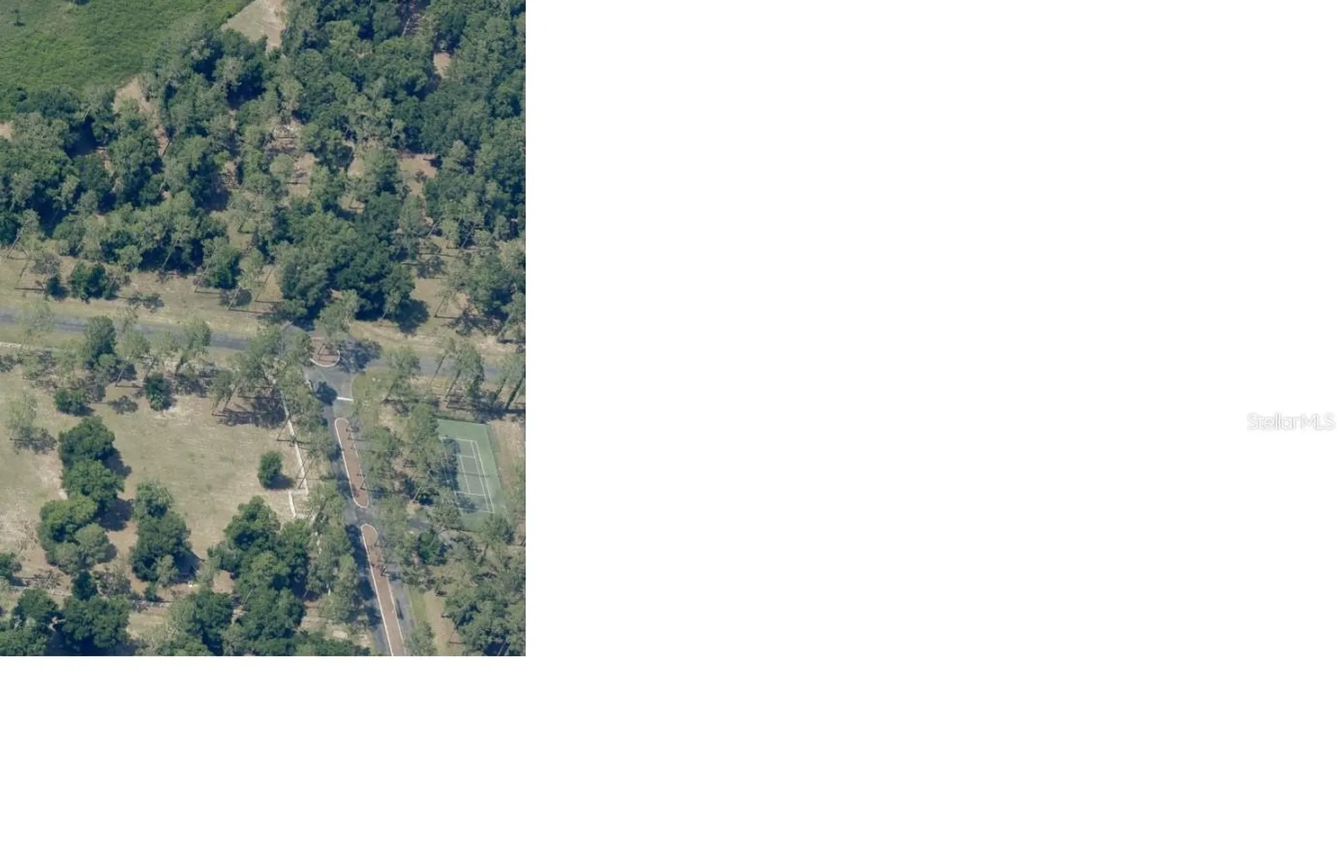 Bonsmara Drive Leesburg FL 34748