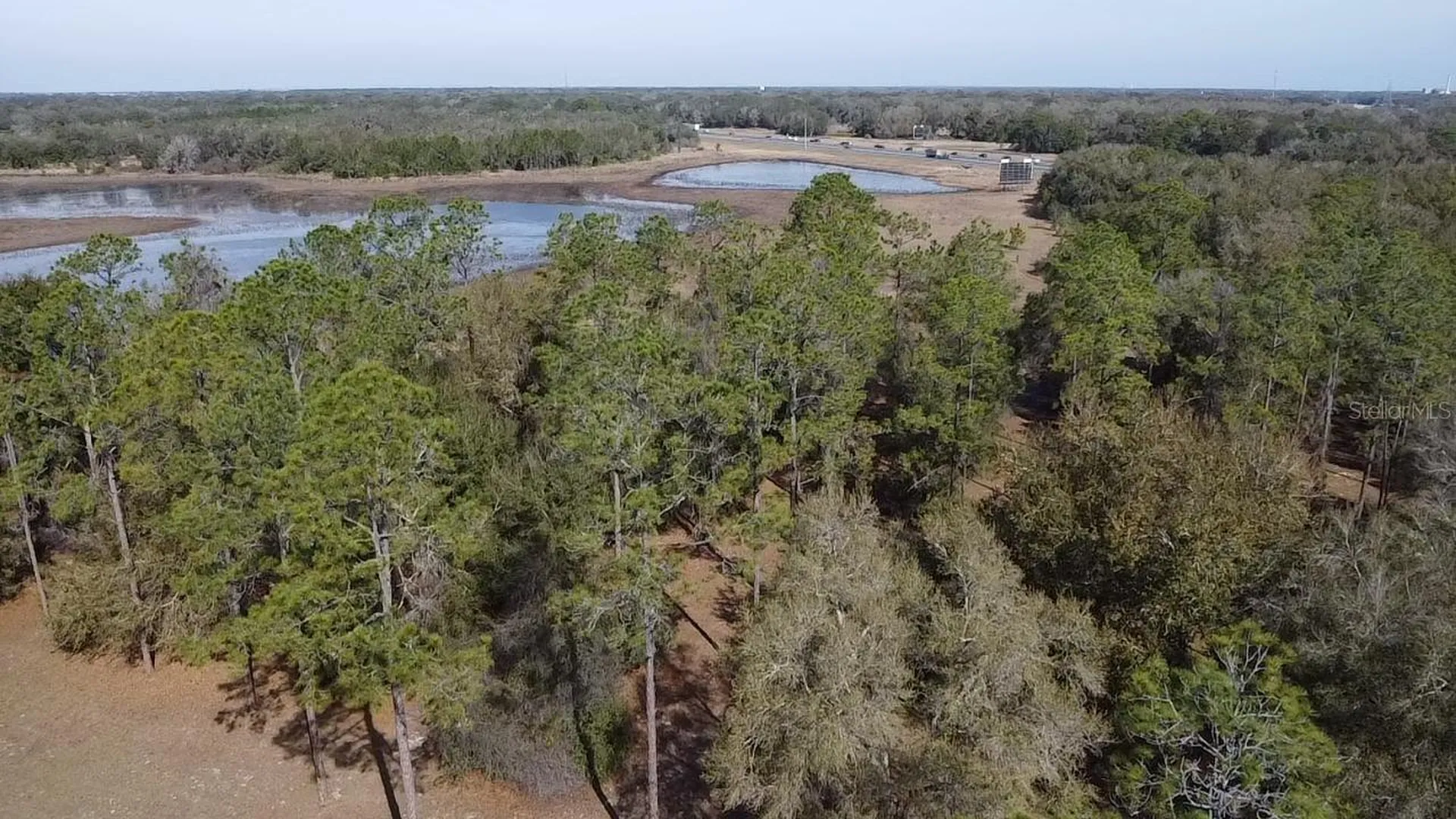 Bonsmara Drive Leesburg FL 34748