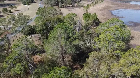 Bonsmara Drive Leesburg FL 34748