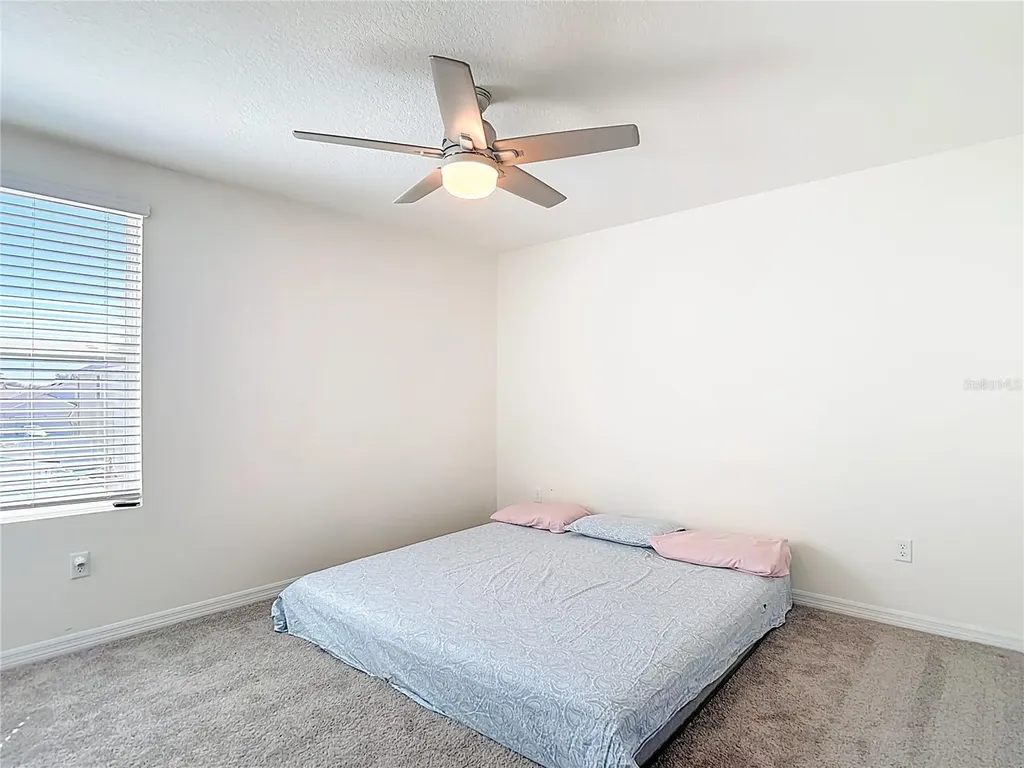 35668 Doveland Drive Zephyrhills FL 33541