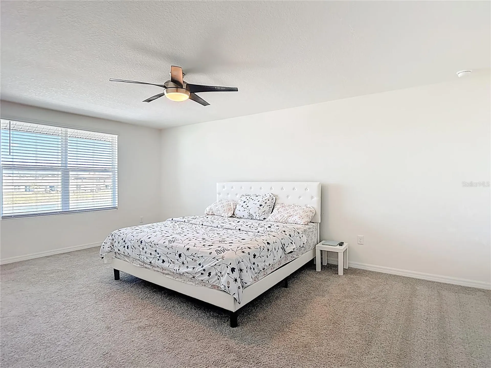 35668 Doveland Drive Zephyrhills FL 33541