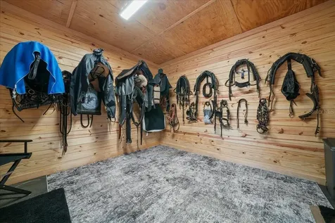 6655 NW 145th Avenue Road Morriston FL 32668