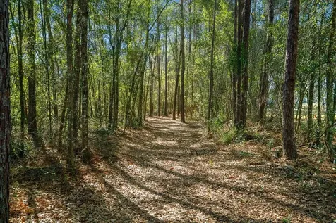 6655 NW 145th Avenue Road Morriston FL 32668