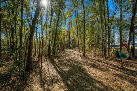 6655 NW 145th Avenue Road Morriston FL 32668