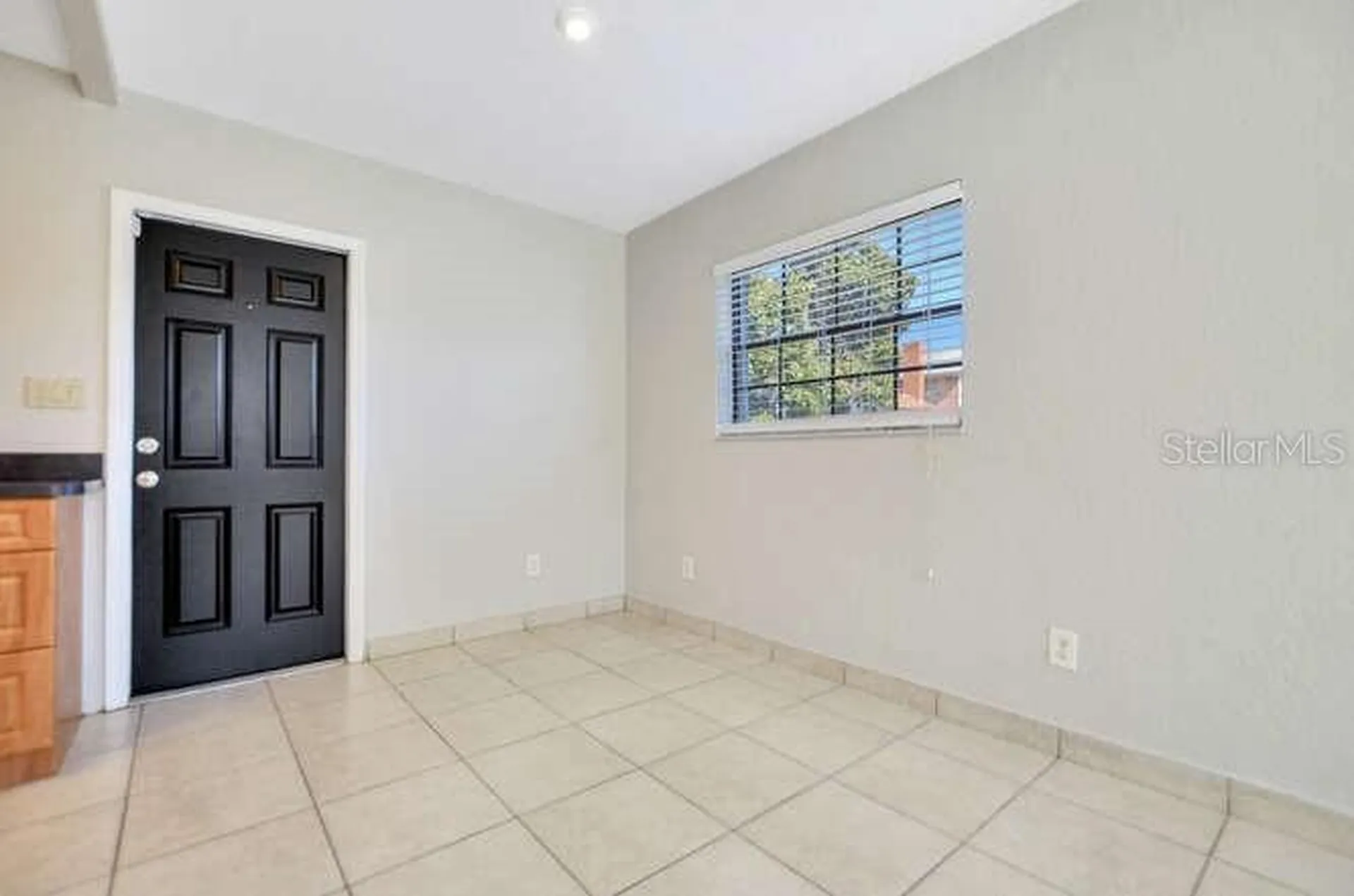 816 E Frierson Avenue Tampa FL 33603
