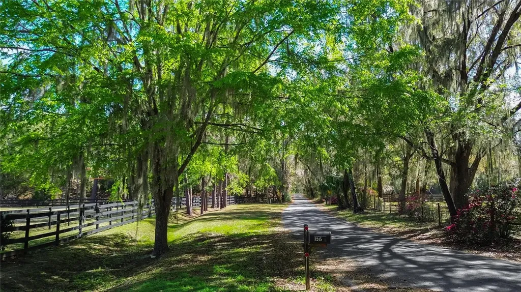 3245 NW 137th Place Reddick FL 32686