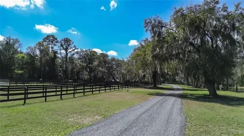 3245 NW 137th Place Reddick FL 32686
