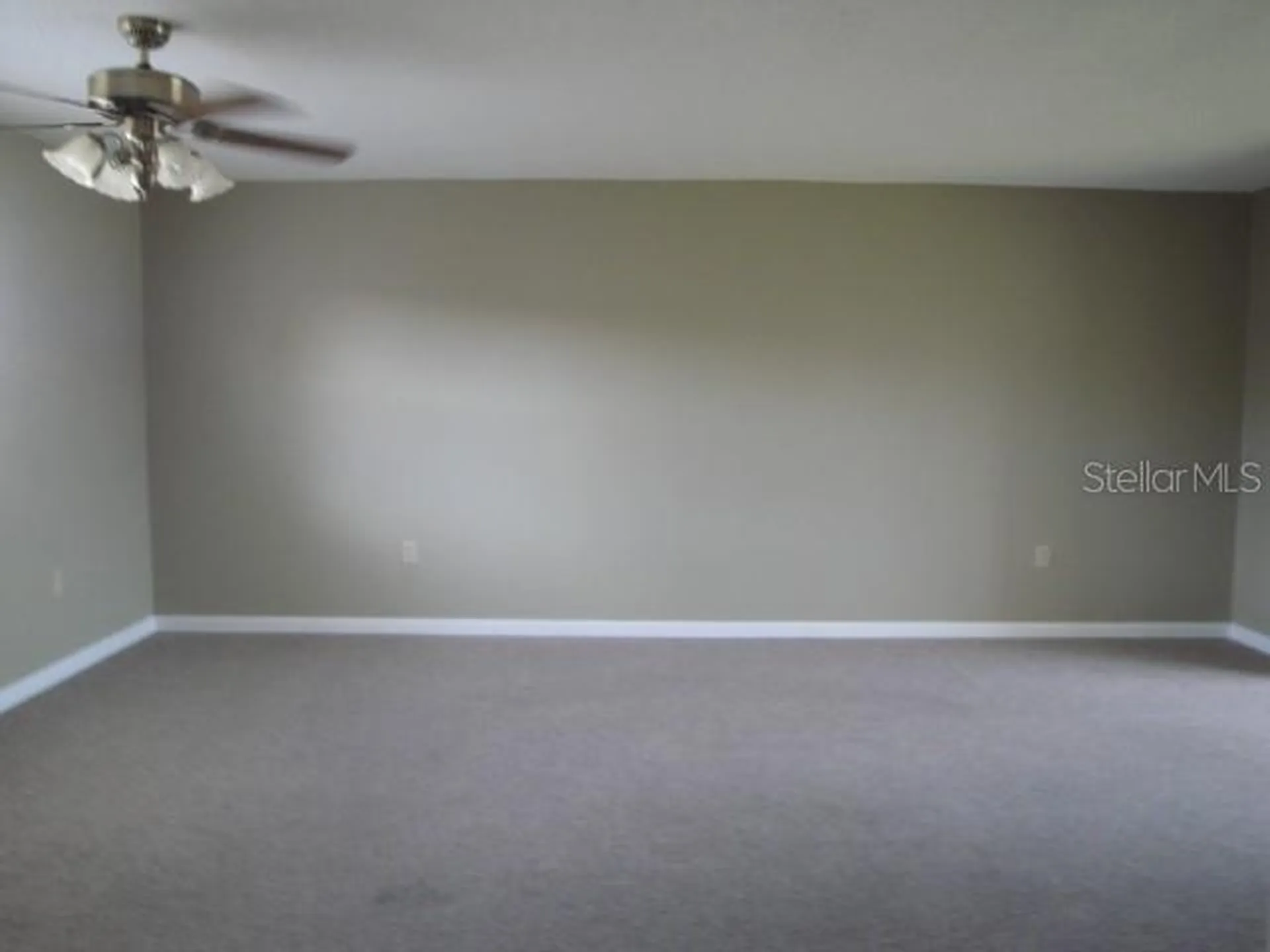7701 Starkey Road Seminole FL 33777