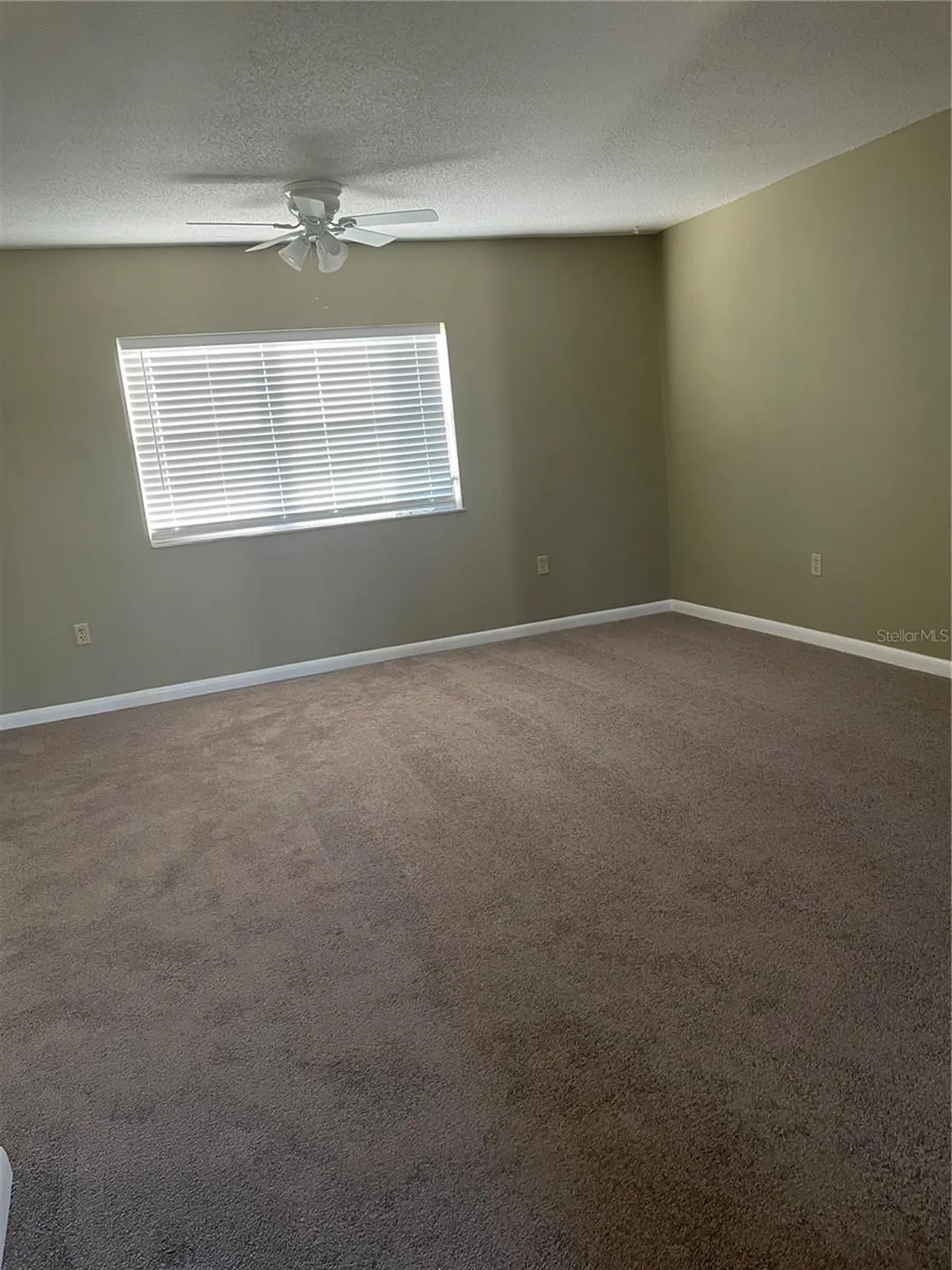 7701 Starkey Road Seminole FL 33777