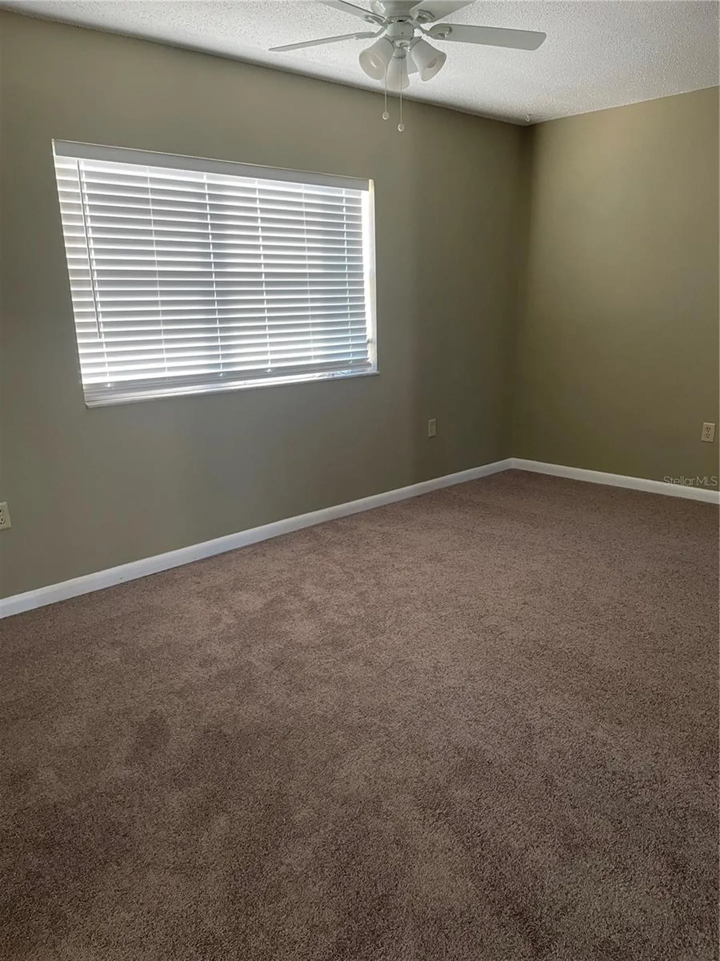 7701 Starkey Road Seminole FL 33777