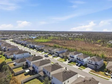 10402 Hawks Landing Drive Land O Lakes FL 34638