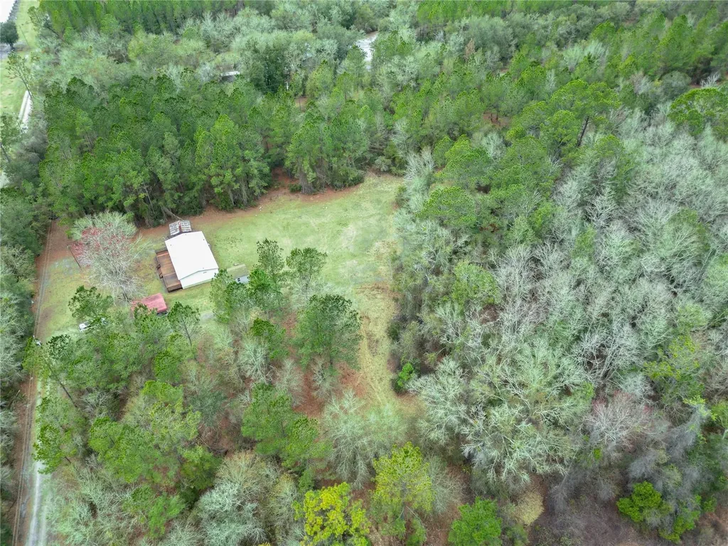 11602 NE Us Highway 301 Waldo FL 32694