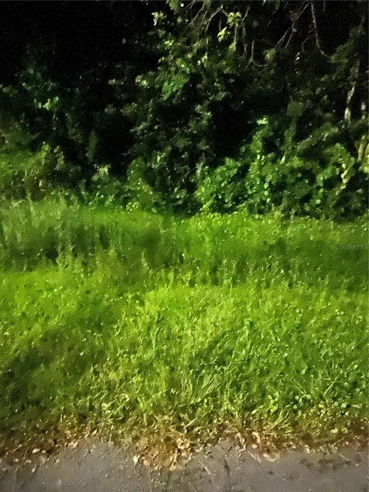 814 Massy Court Kissimmee FL 34759
