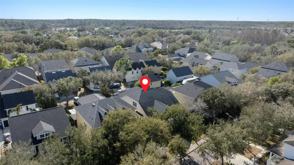 14680 Canopy Drive Tampa FL 33626