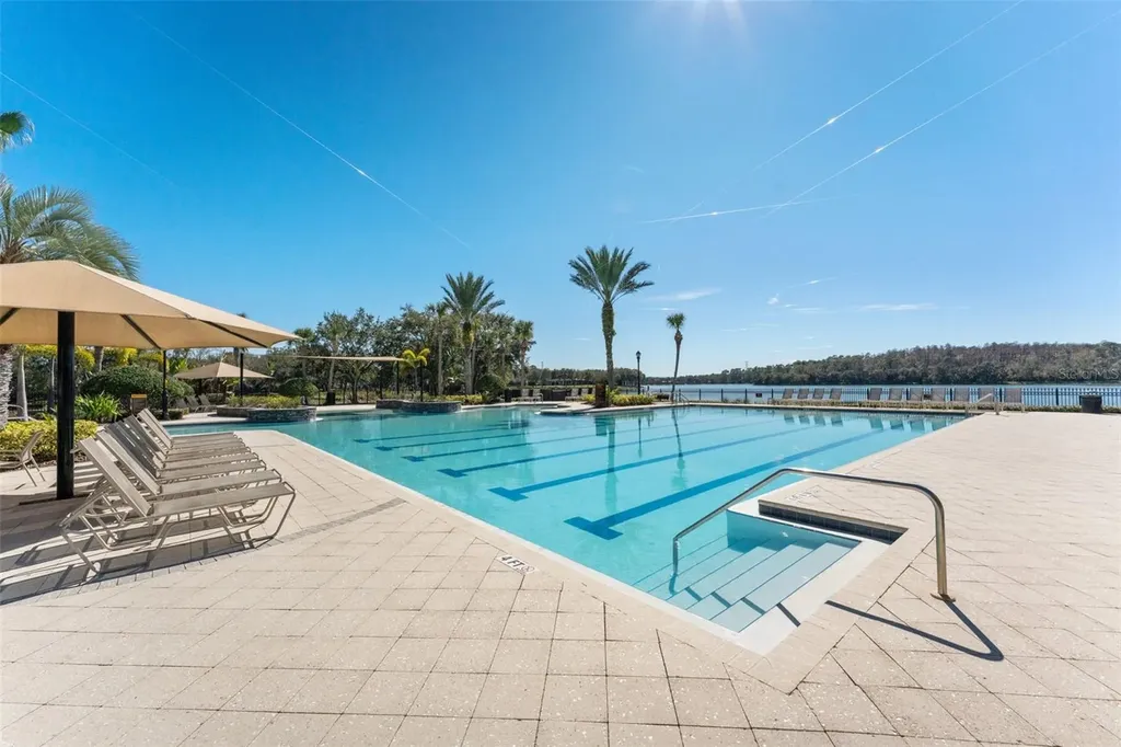 14680 Canopy Drive Tampa FL 33626