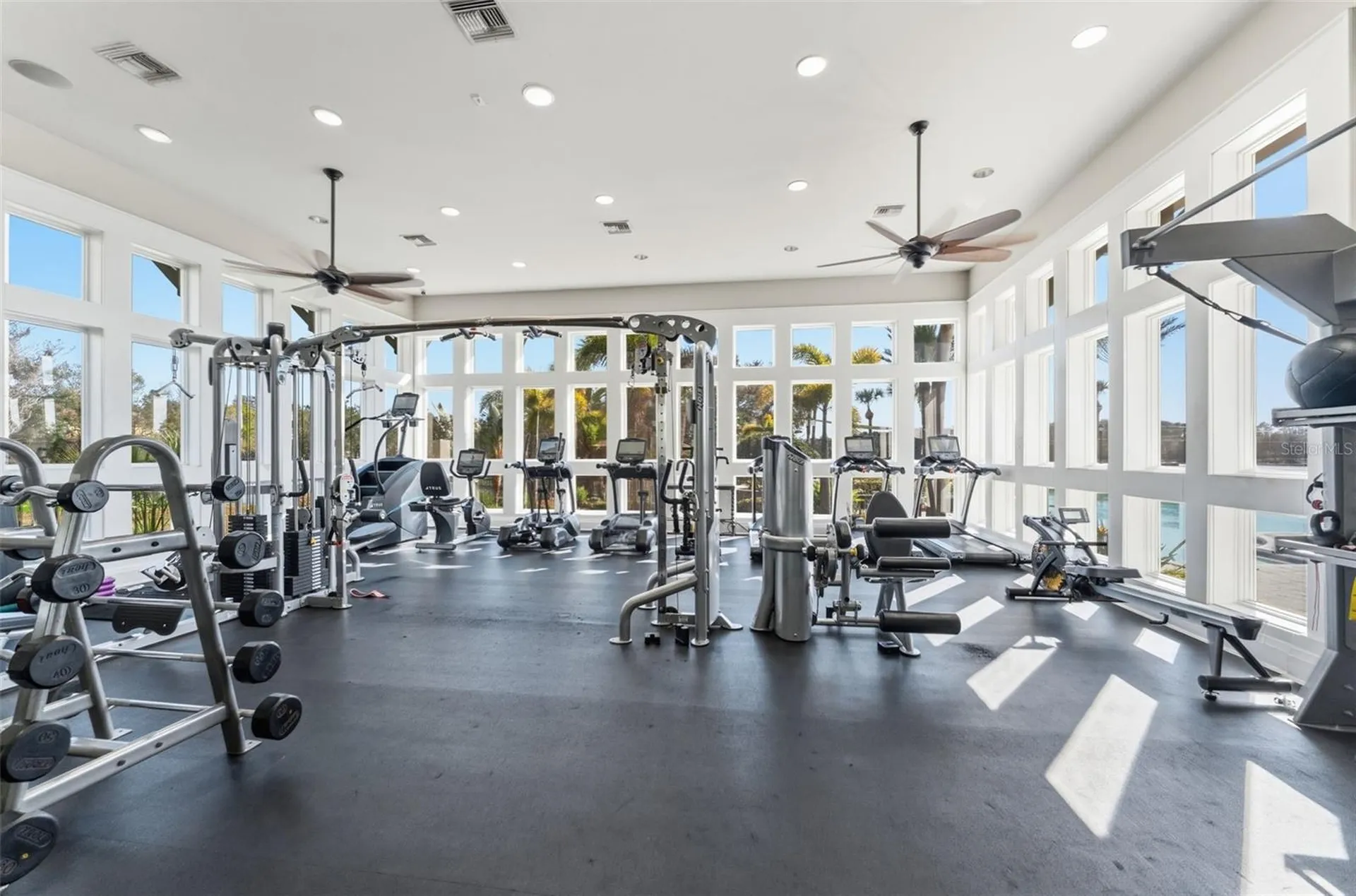 14680 Canopy Drive Tampa FL 33626