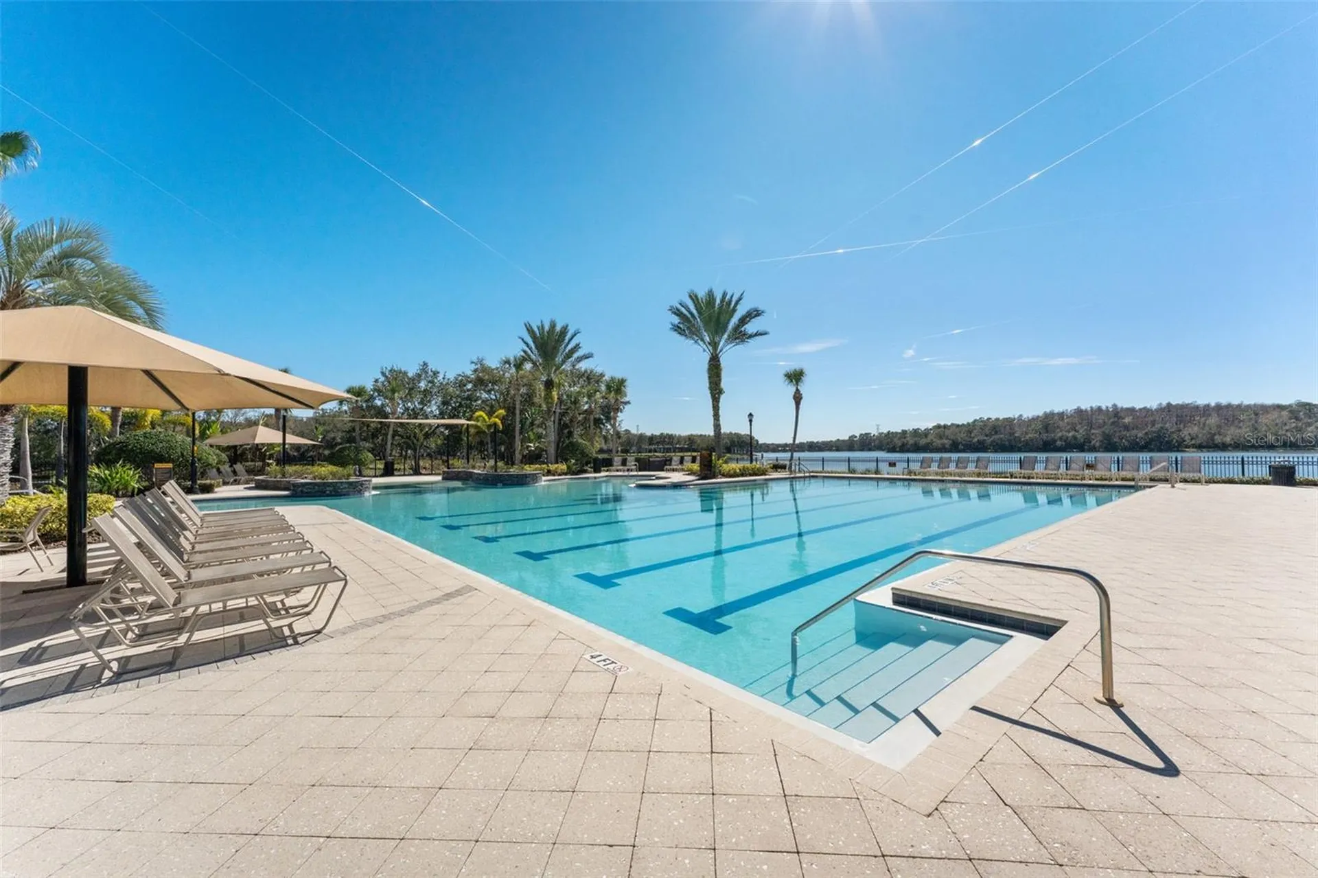 14680 Canopy Drive Tampa FL 33626